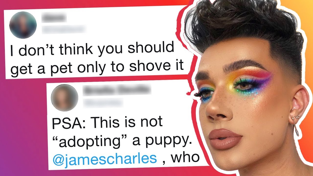 James Charles' Puppy Video Has Fans Accusing Him of Exploiting His Dog