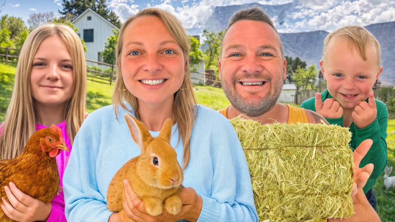 Penny Well Farm Day Out