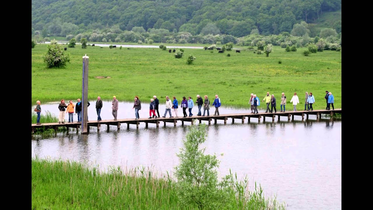 The Dutch Birder's rap