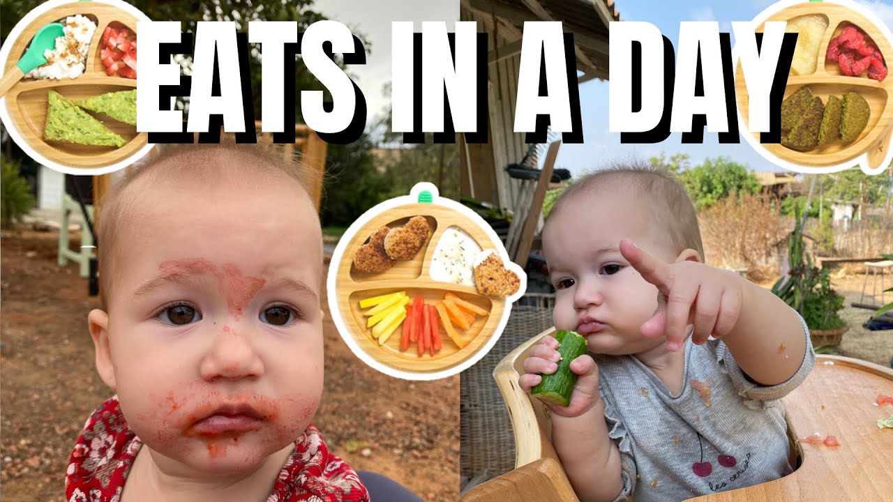 Что ест мой 11-месячный ребенок за день | Прикорм по методу Baby Led Weaning: советы и рекомендац...