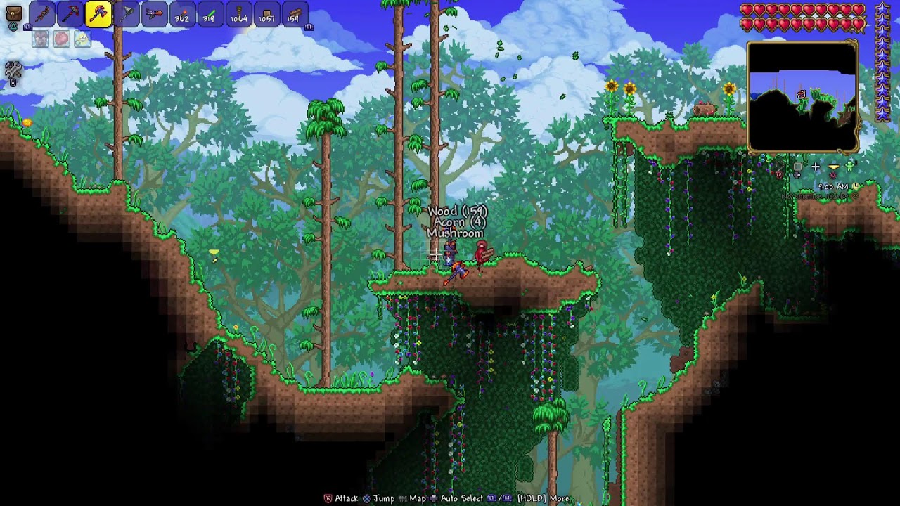 Terraria?