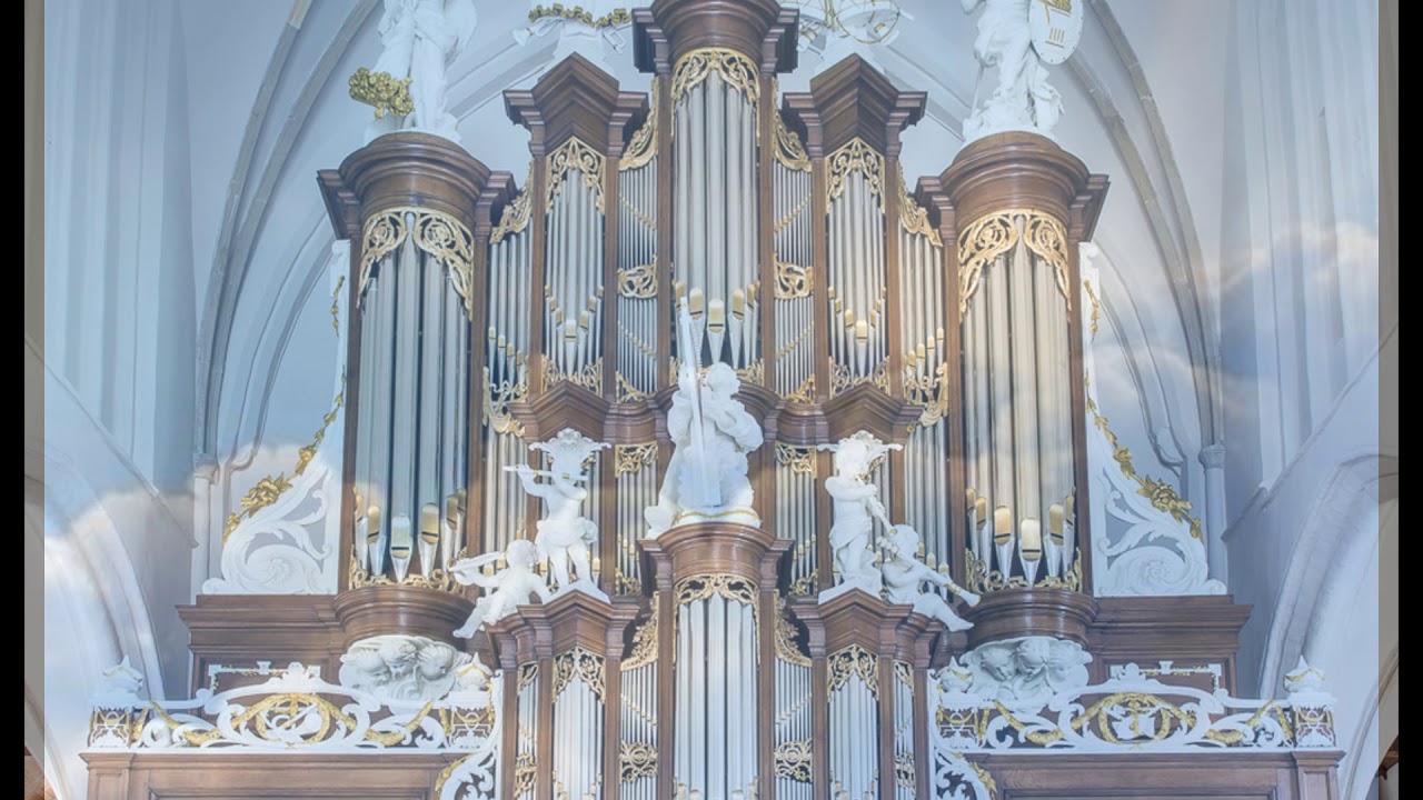 Jan Zwanepol speelt Zouden wij nog eenmaal komen uit de grote kerk te Bolsward