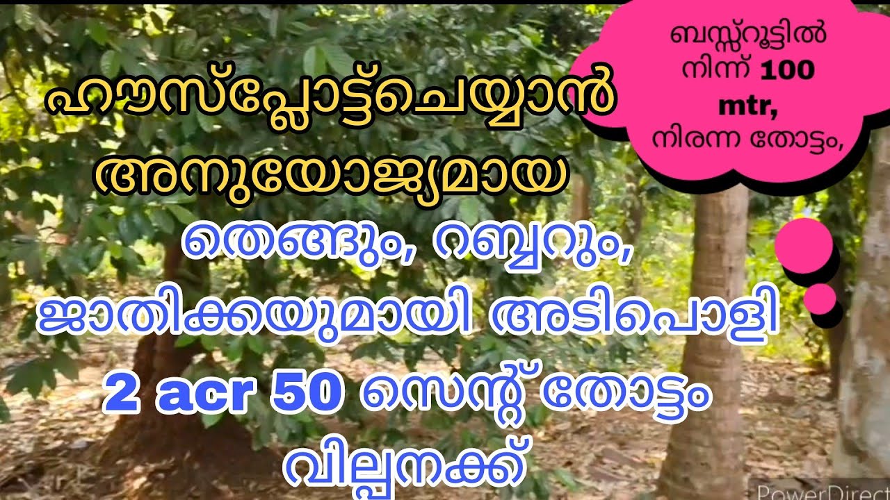 തെങ്ങും,റബ്ബറും,ജാതിക്കയും മാവും,പ്ലാവുമായി അടിപൊളി 2 acr 50 സെന്റ് ഫുൾപറമ്പായ തോട്ടം വില്പന ക്ക്...