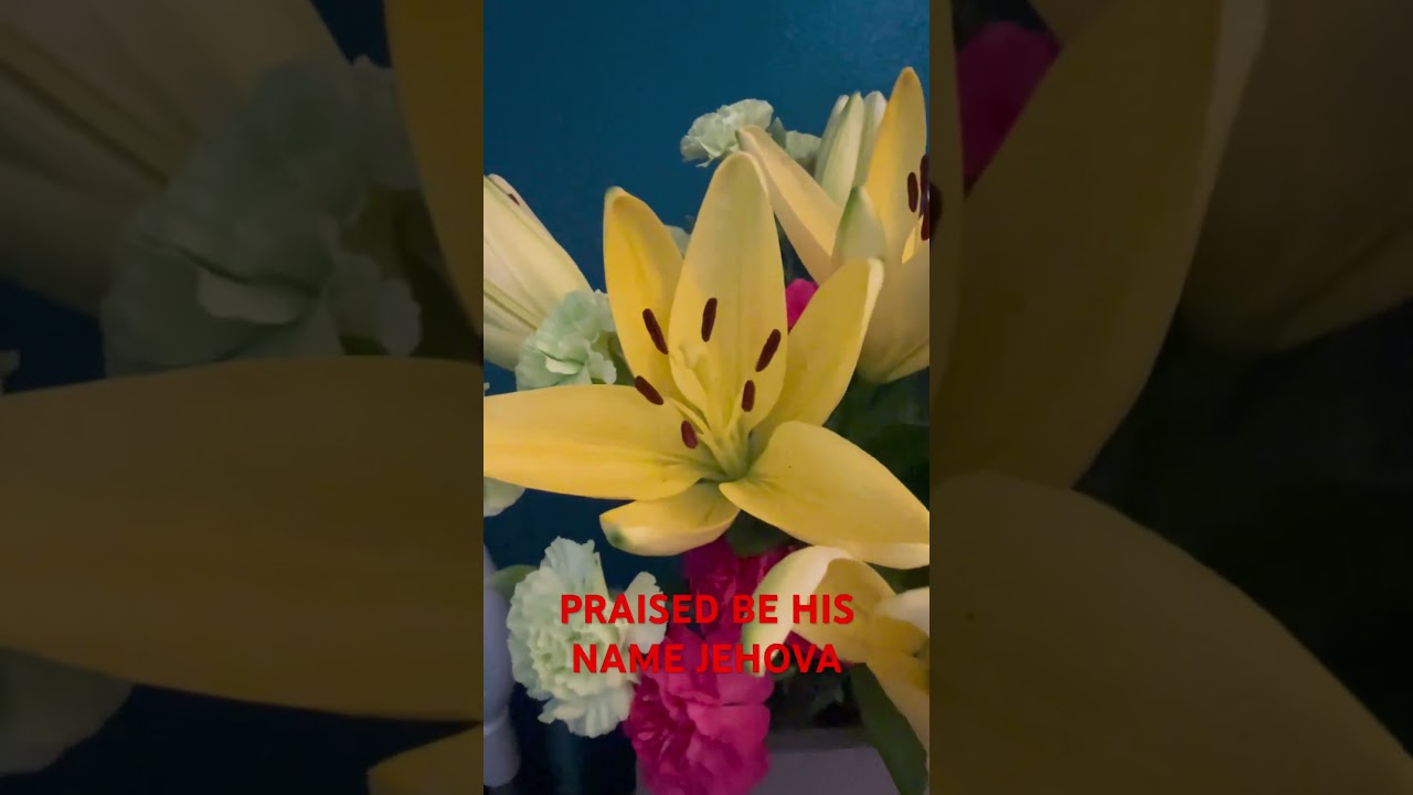 #diosesamor #diosfiel #flowers #flores #amoralpr&oacute;jimo #yellow #godalmighty #bloom #pazespiritual