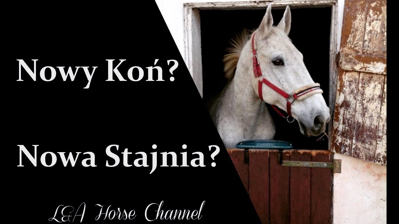 NASZA NOWA STAJNIA PRZYDOMOWA! / Vlog #1
