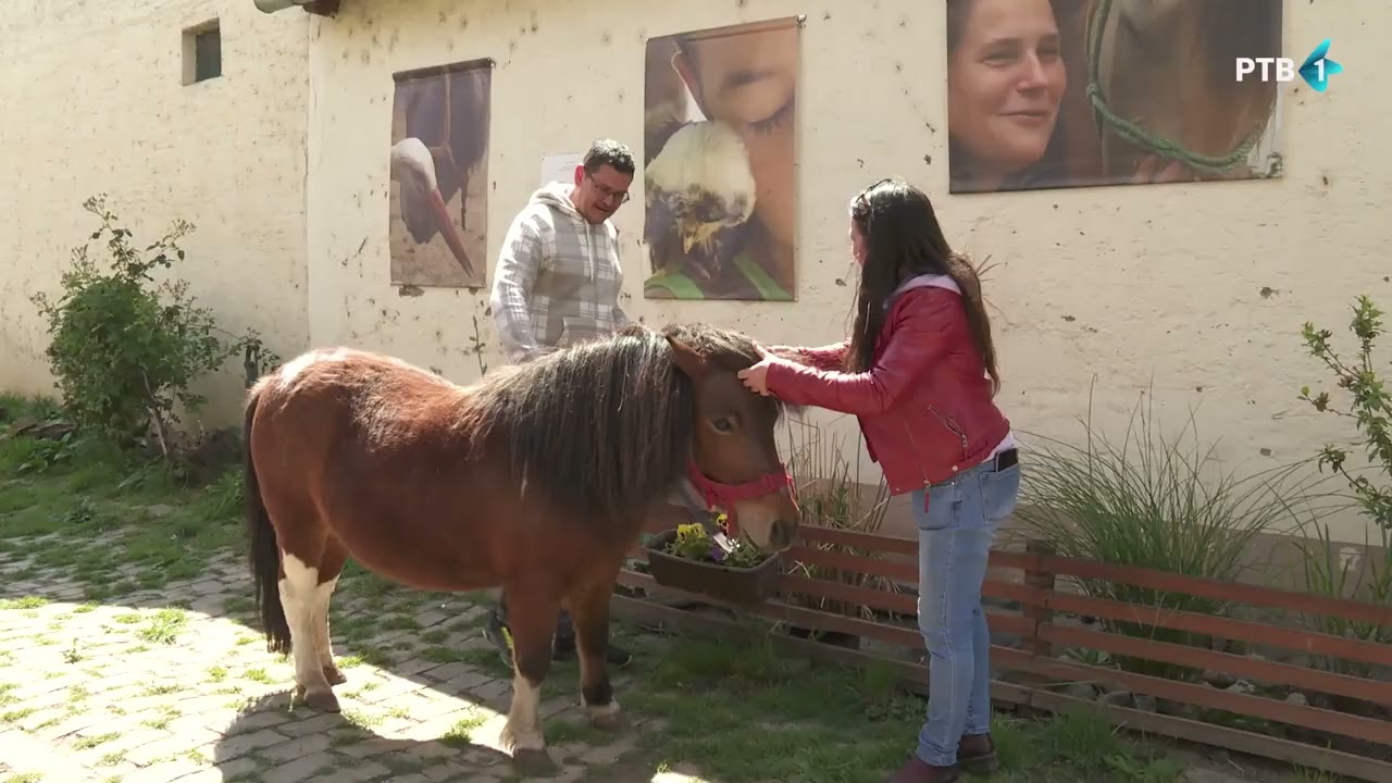 Bački zoo vrt | DOBAR POSAO