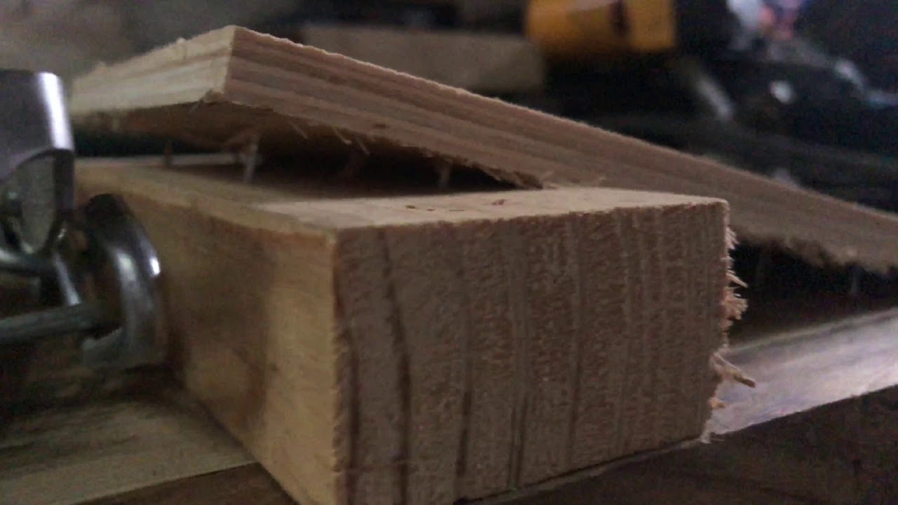 Fenn Trap box. Csapda box.