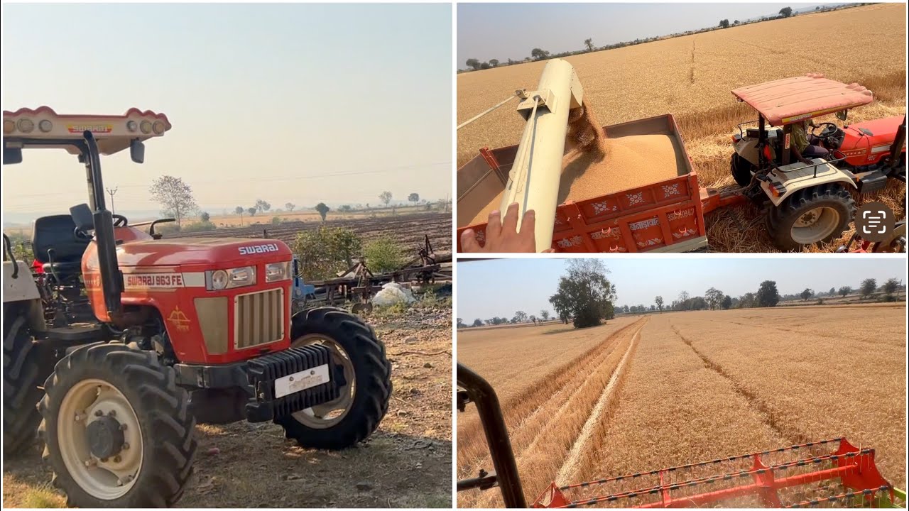 पहली बार एवरेज बताया गेहु का lpatel ne Gehu ki kheti with John Deere and Swaraj and vishal combine