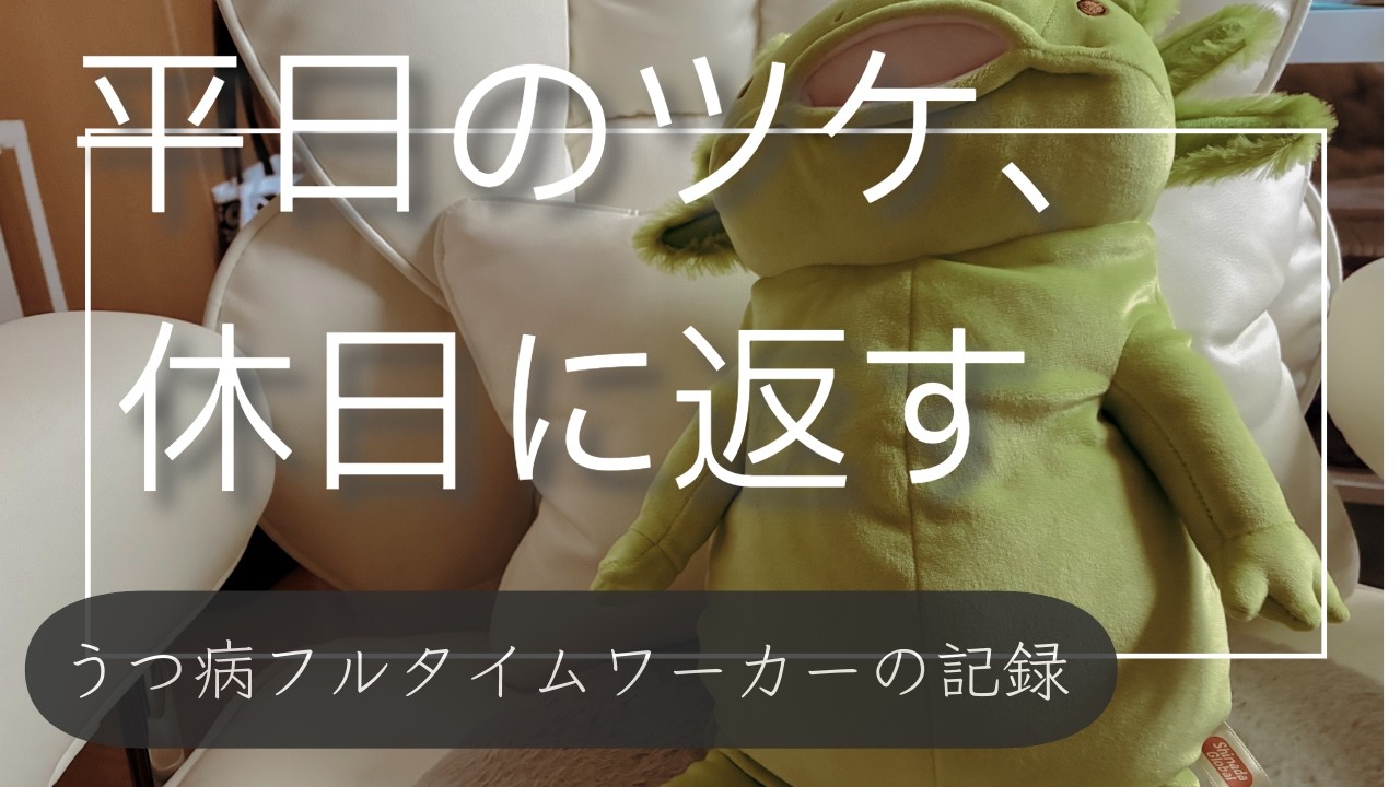 うつ病フルタイムワーカーが平日の家事のやり残しを清算する