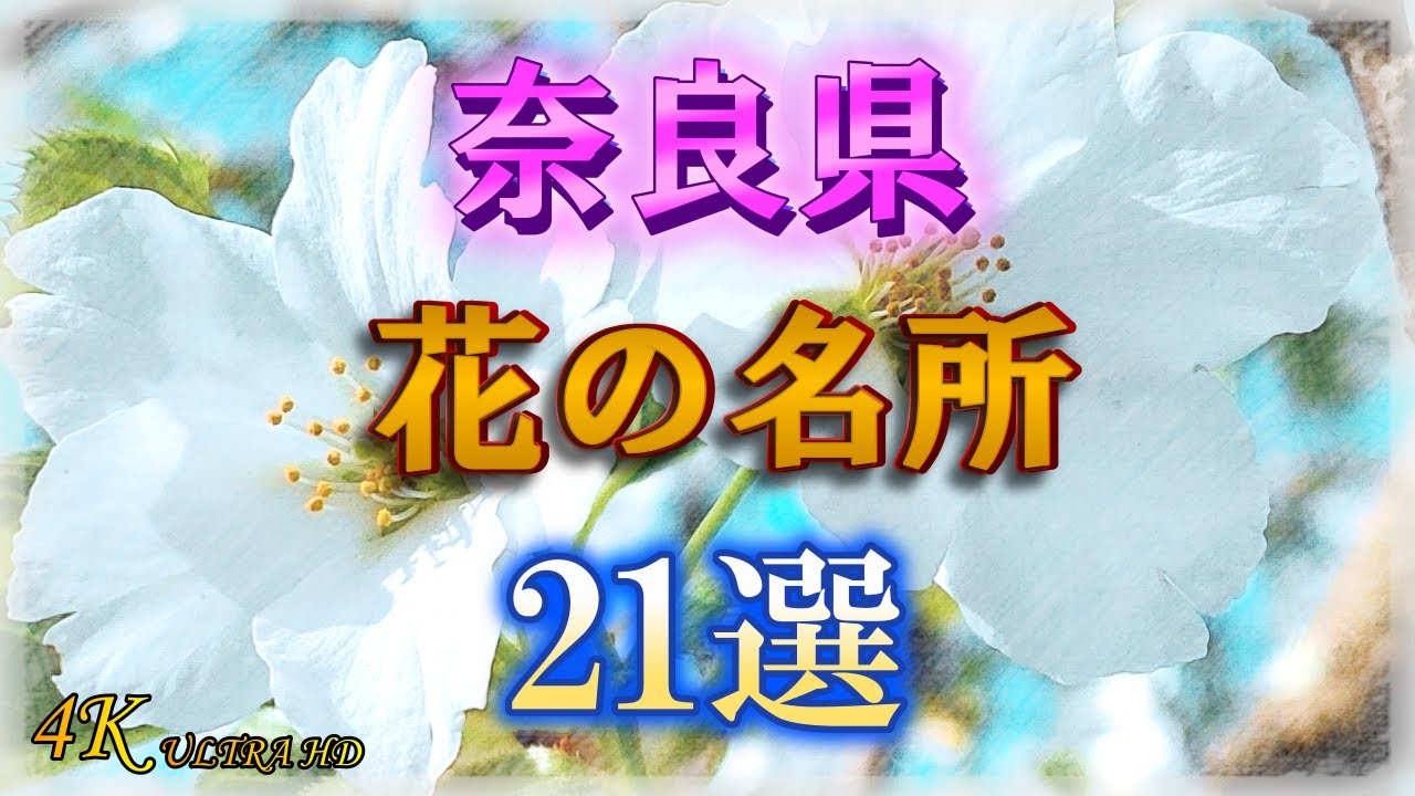【奈良県花の名所21選】20種の花が彩る花カレンダー