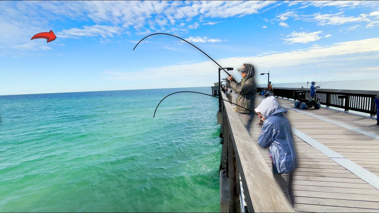 BIG Ones on This GULF Pier!