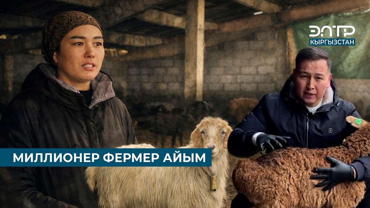МИЛЛИОНЕР ФЕРМЕР АЙЫМ