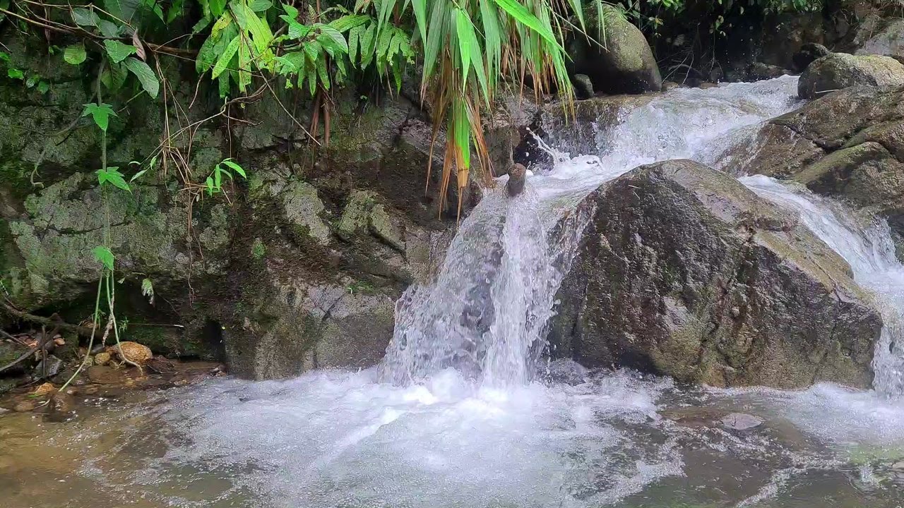 Soothing Moonlight River – Gentle Water Ambience for Deep and Restorative Sleep