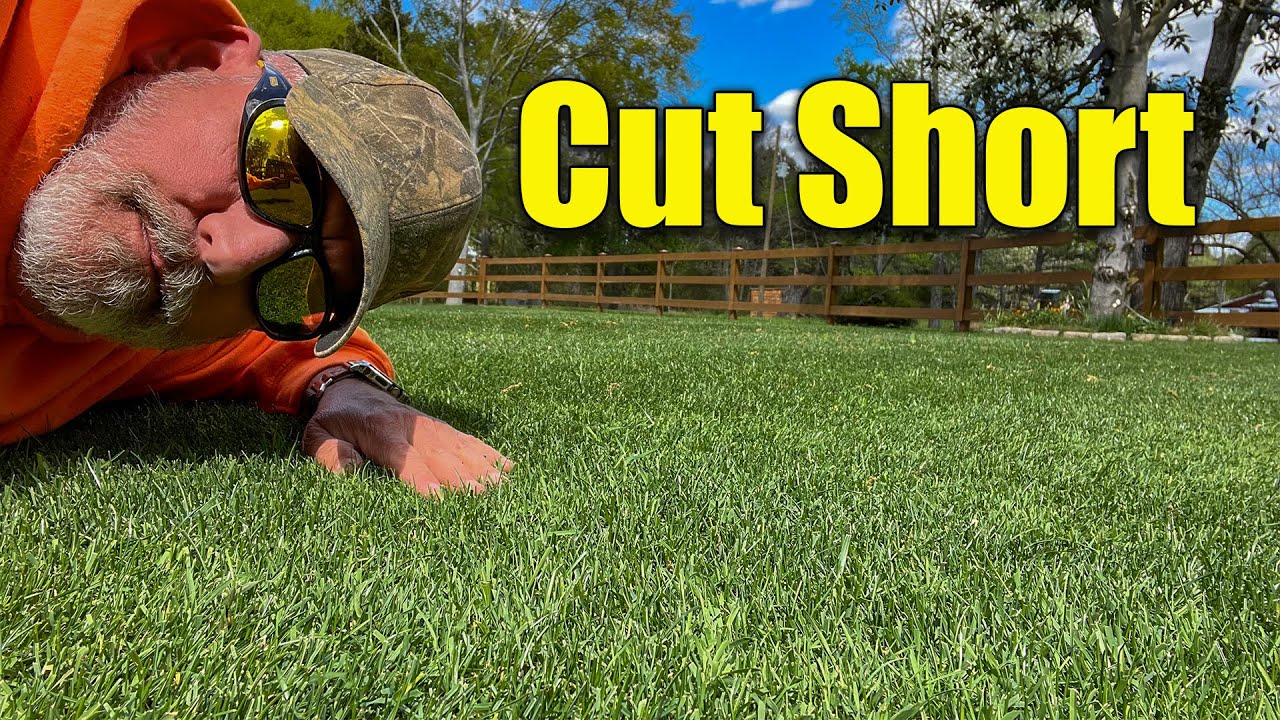 Spring Lawns Cut Them Short
