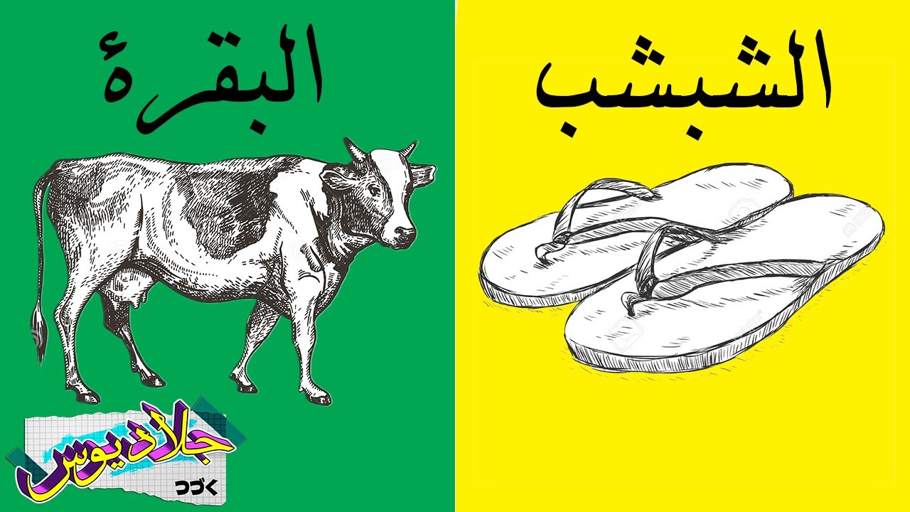 مالرابط بين الشبشب والبقرة؟ |  جرعة المعرفة #10