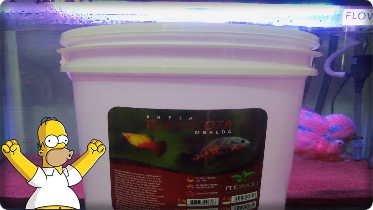 Trocando substrato BW  por TERRACOTA novo aqua do Frankmyers !!!