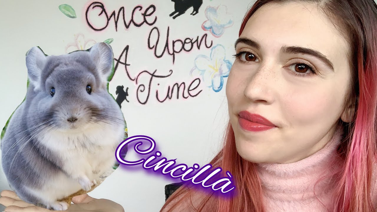 VI PRESENTO IL CINCILLÀ