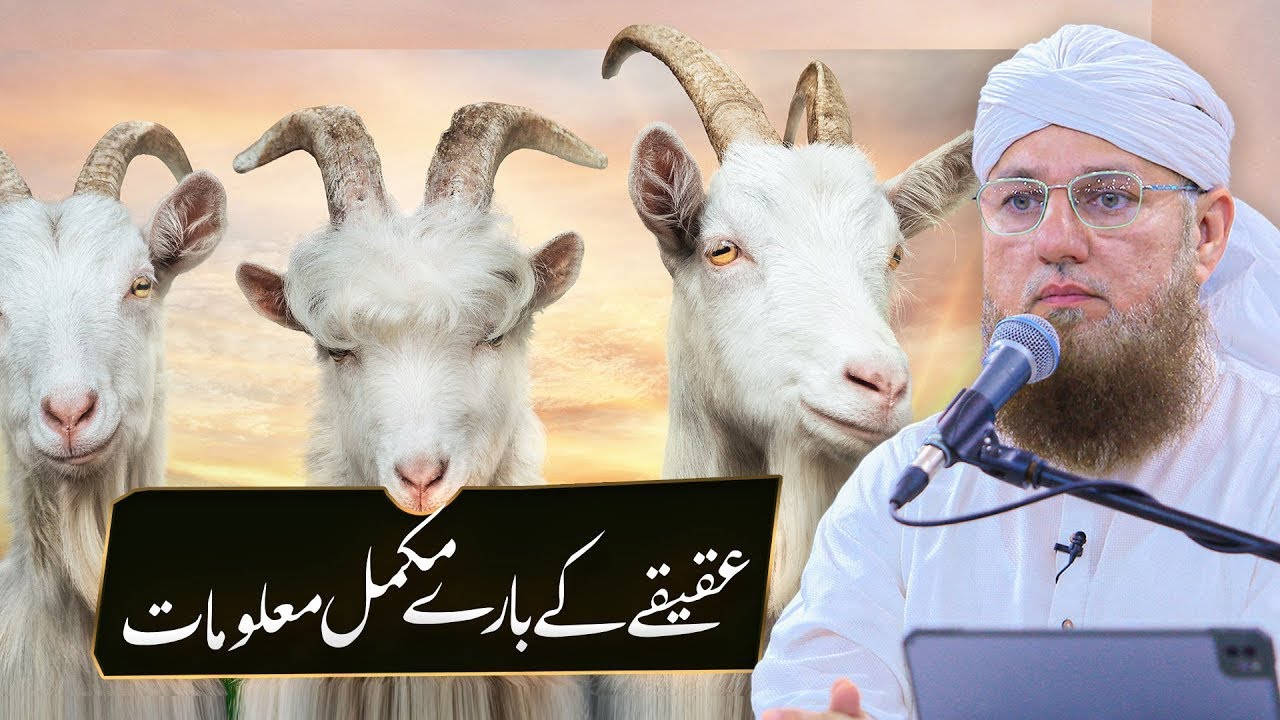 Aqiqah Ka Sunnat Tareeqa | Larke Aur Larki Ka Aqiqah | Janwar Ki Shartein | Abdul Habib Attari Bayan