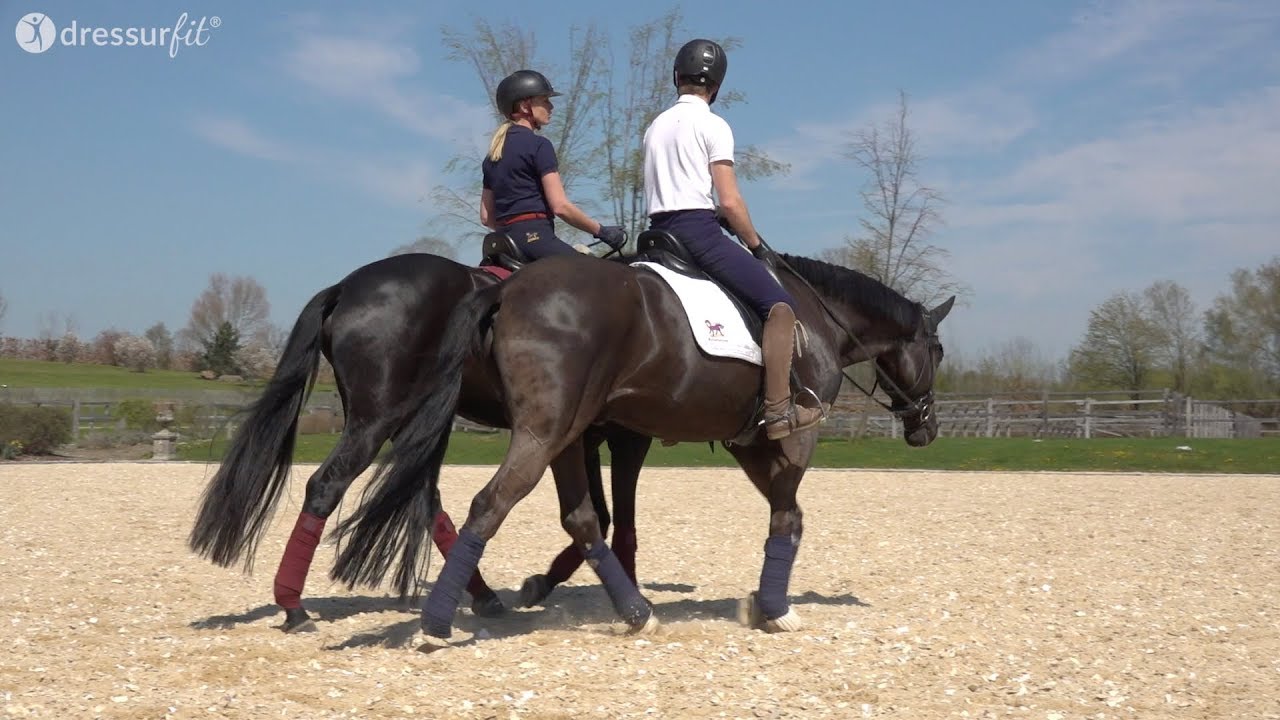 Der richtige Umgang mit Rückschlägen beim Reiten
