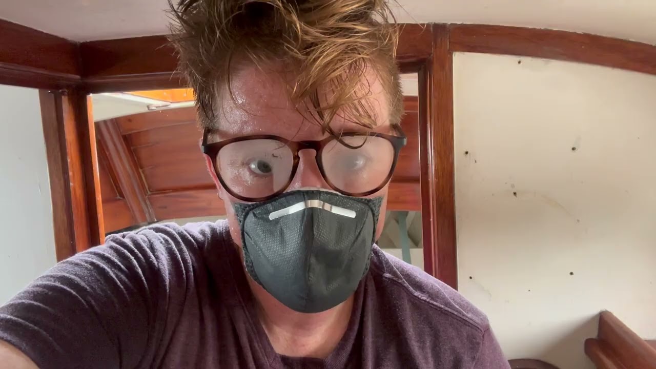 Day 1: Rotten Leaves and Mildew | Restoring Heron, a Wooden Boat Restoration Project