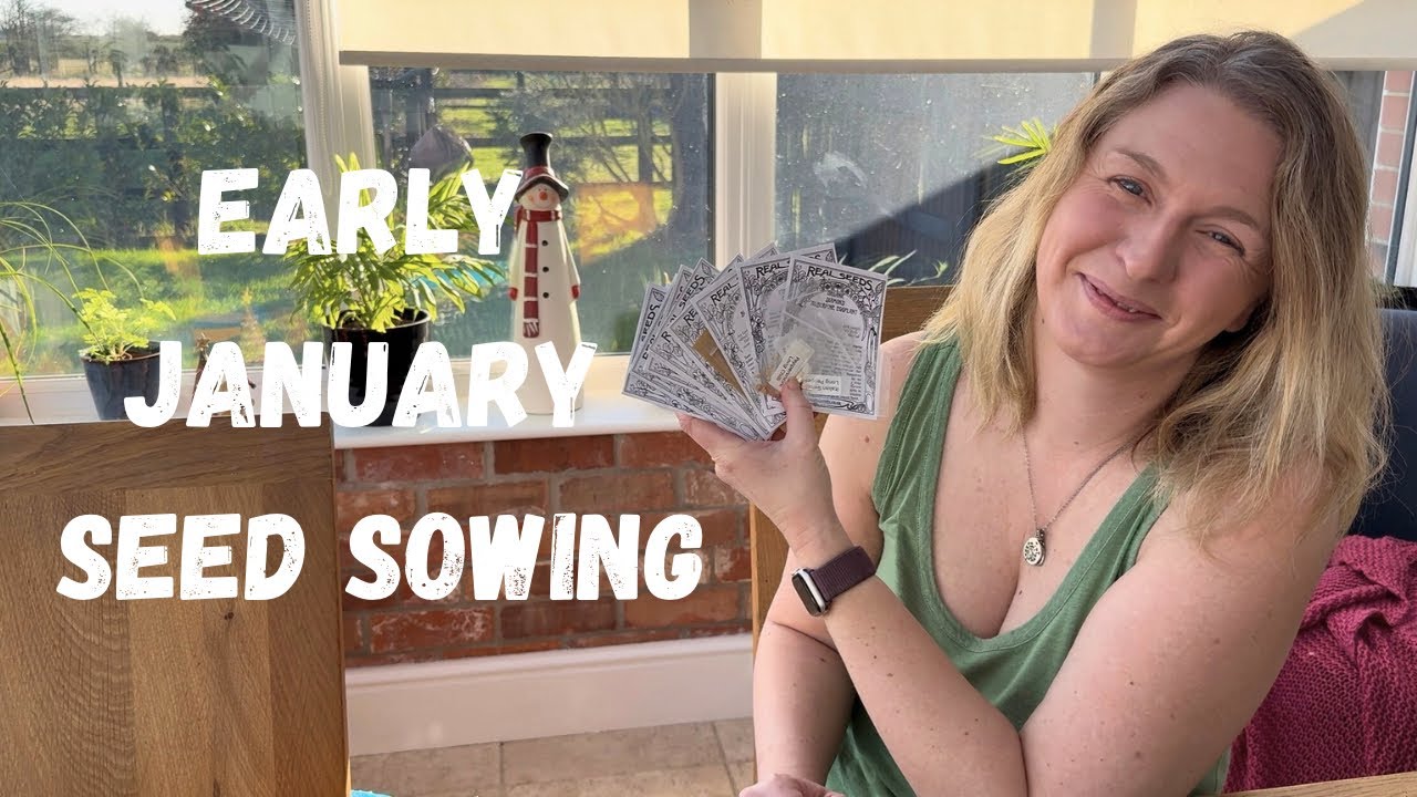 Что я сею в январе (и каким на самом деле был период между Рождеством и Новым годом на моем небол...
