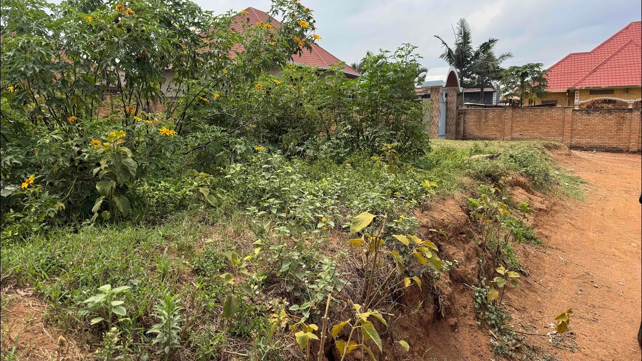 Land for sale 1000sqm located kigal Rusororo kabuga price 100M call:+250727455128