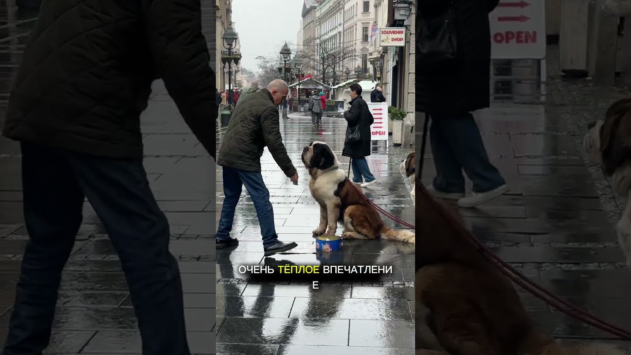 Получить банковскую карту в Сербии? Рассказала о своём опыте. 