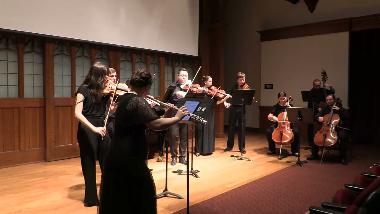 J. S.  Bach - Orchestral Suite No. 2 B Minor, BWV 1067; Menuet & Badinerie