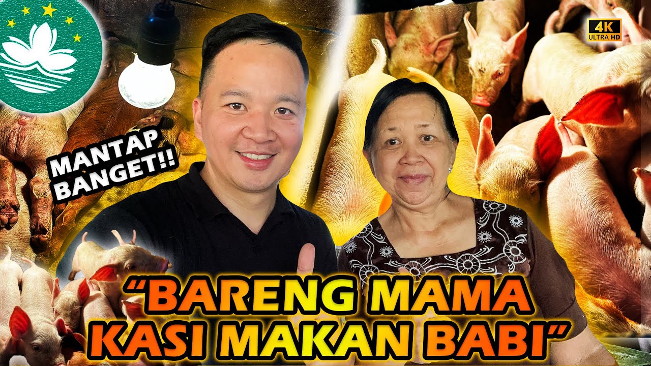 BARENG MAMA KASI MAKAN TERNAK BABI...MANTAP