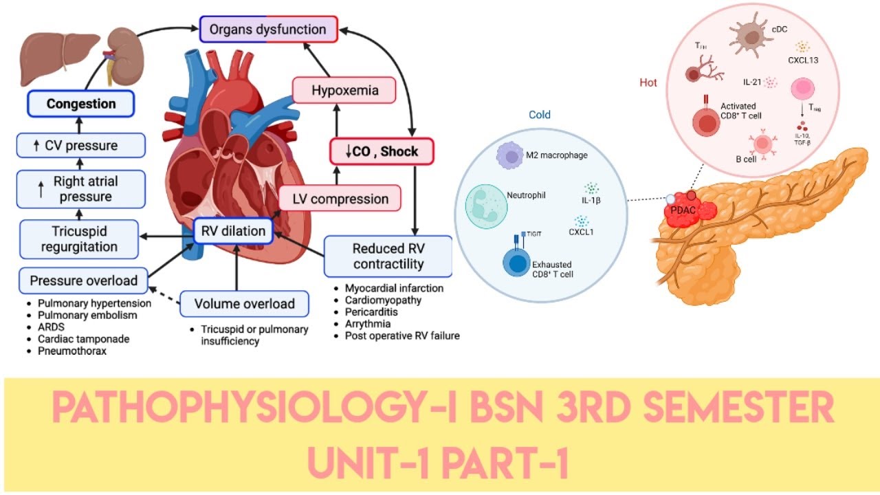 Introduction to pathophysiology ||Unit-1|| Part-1|| Pathophysiology-I BSN 3rd Semester ||New lecture