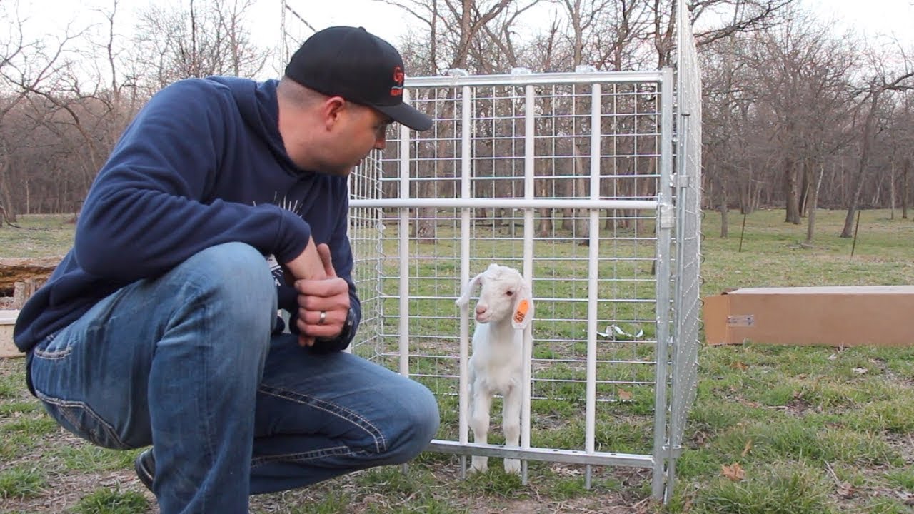 JerkFace's Kids Will Grow Like Crazy Now!