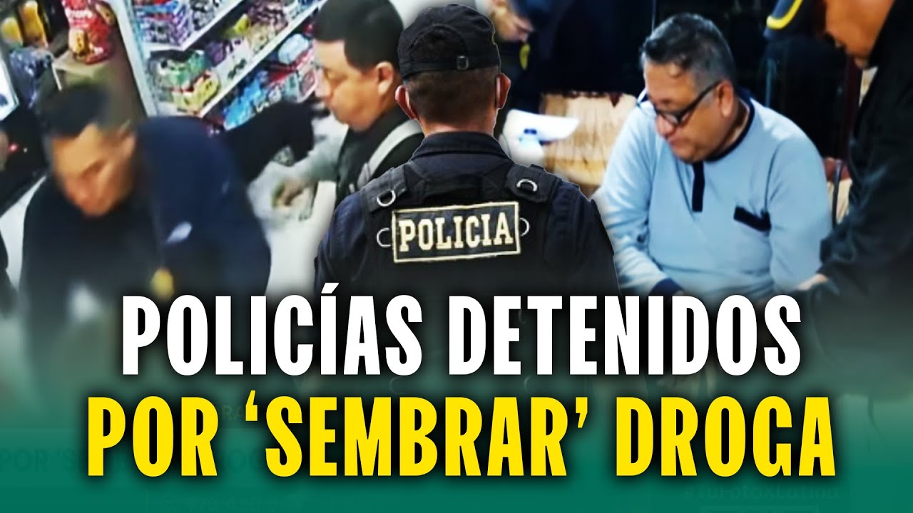 Así cayó exjefe de grupo terna acusado de pertenecer a red criminal: Detenidos por 'sembrar' droga