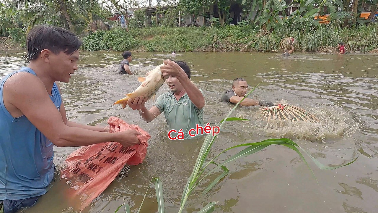Nơm cá khủng ở nghệ an / nơm cá hưng hugo