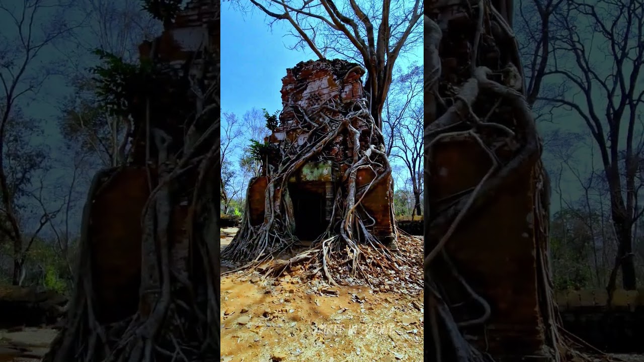 Ancient Jungle Temple in Koh Ker | Cambodia