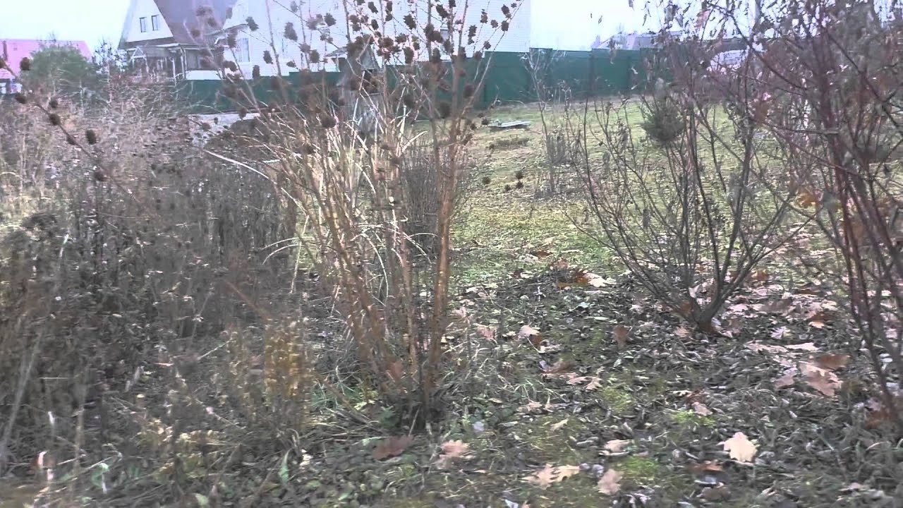 Цветник 