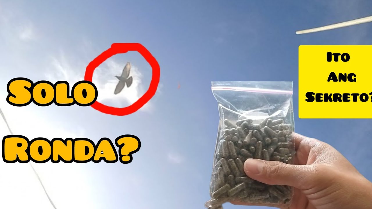 ROMORONDA NA MGA YB NATIN| ALAMIN ANG SEKTRETO | Shinobi Pigeon TV