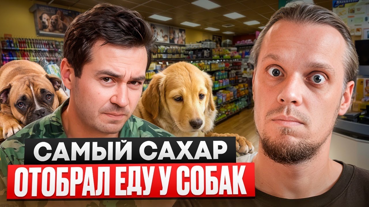 Самый Сахар ест еду собак, а я и рад!