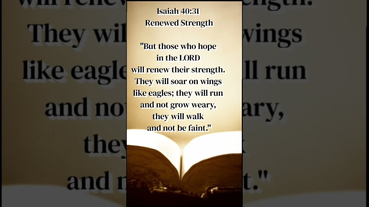Daily Bible Verse- January 14 #biblestudy #bible #bibleverse #wisdom