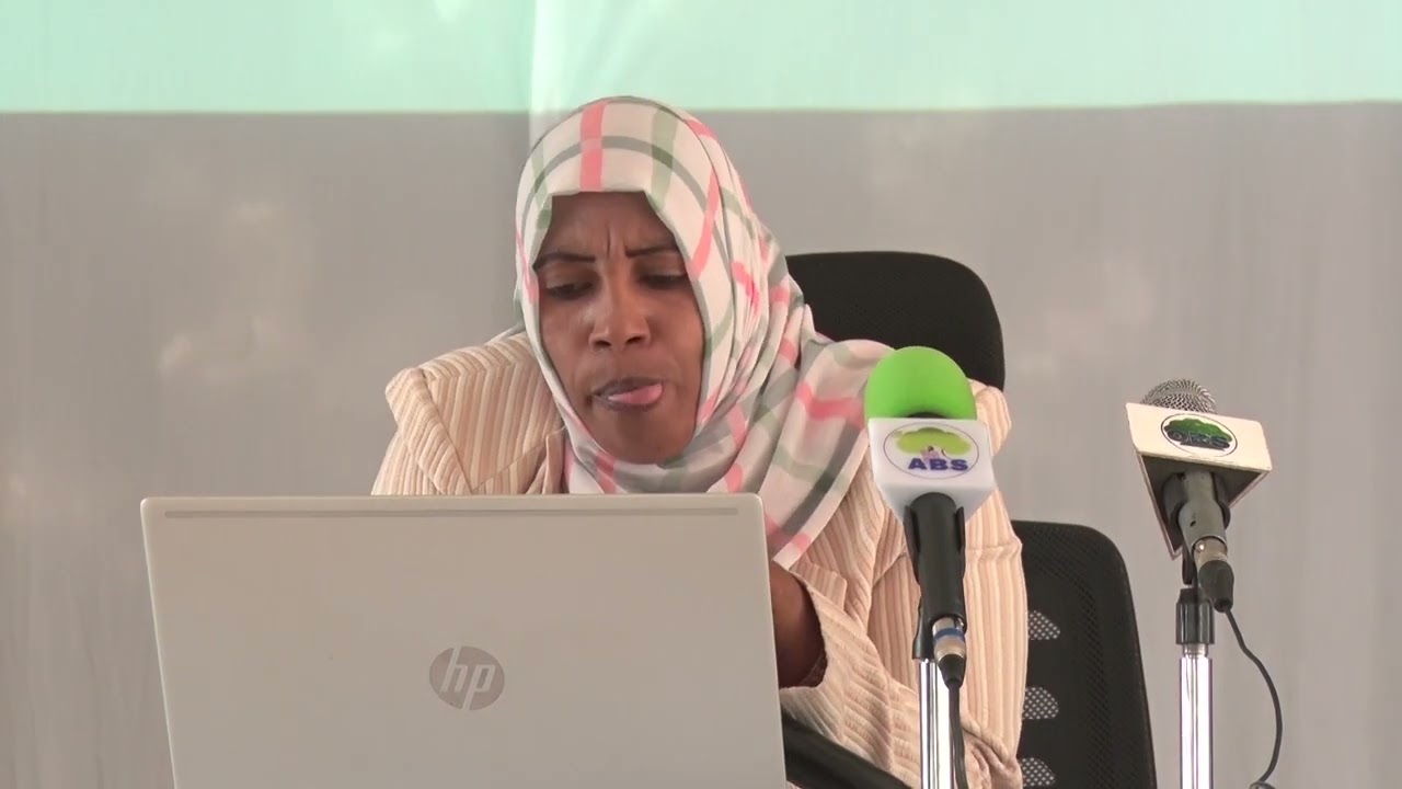 ijaarsa seeran alaarratti tarkanfii ni fudhaannaa bulchinsaa magaalaa adaamaa.