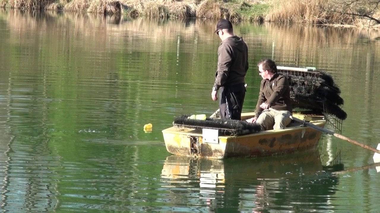 SFV Krems Laichnester einbringen, April 2017