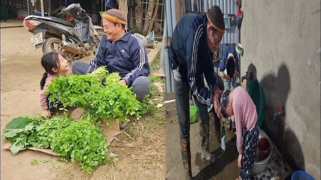 The journey of earning extra income by growing vegetables at home in rural areas, farm life.