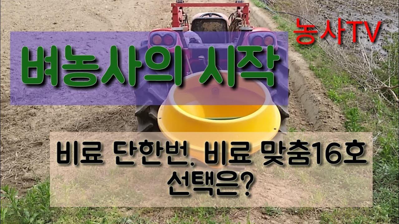 벼농사의 시작-비료의 선택, 단한번과 맞춤16호 중 선택[농사TV]