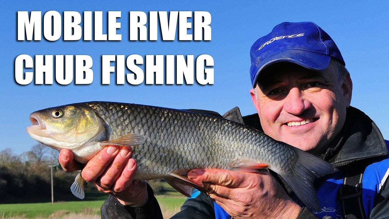 Mobile River Chub Fishing - Warwickshire Avon