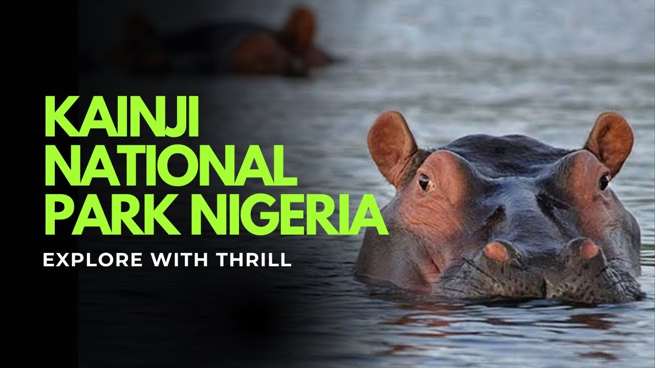 WHAT HAPPENED TO NIGERIAS 2ND LARGEST NATIONAL PARK?? #Kainji #Nigeria #ExploreWithThrill #Virtual