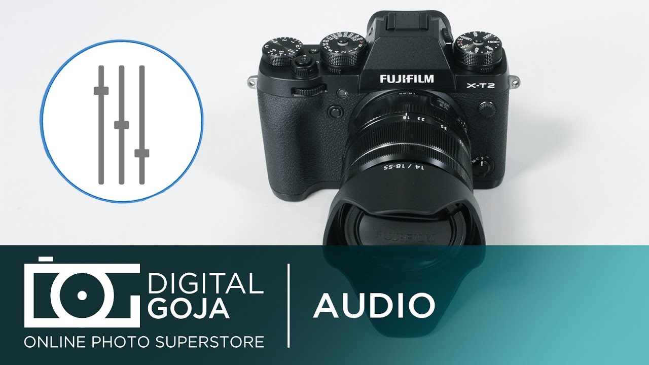 Fujifilm X-T2: Built In Audio Level | Video