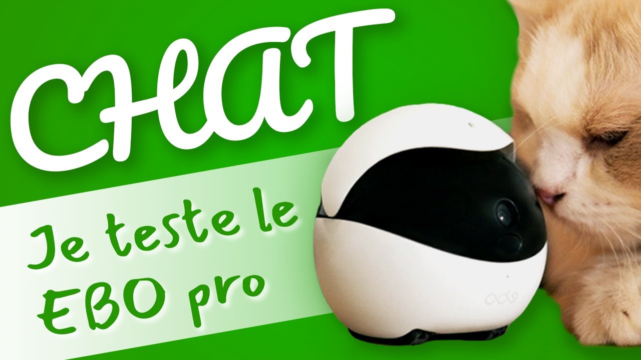 Je teste un jouet high tech pour chat de kickstarter | Unboxing du robot Ebo pro