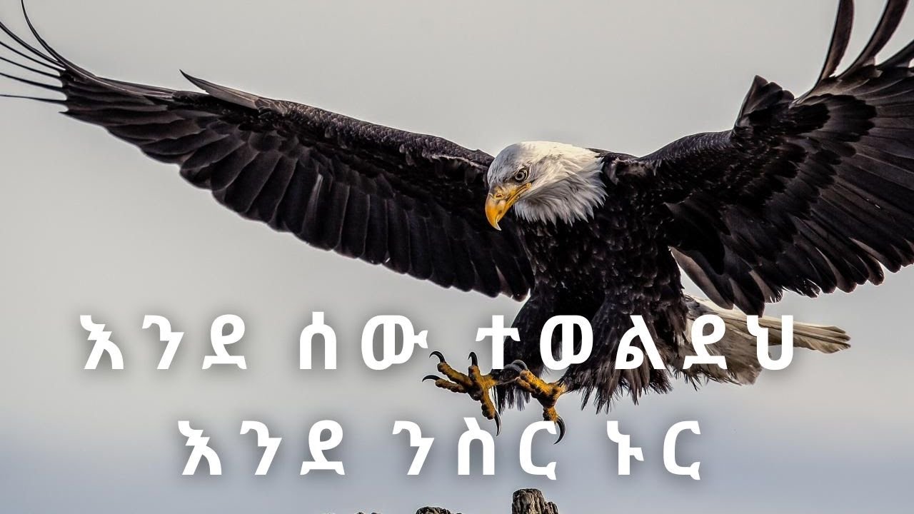 እንደ ሰው ተፈጥረህ እንደ ንስር ኑር !!