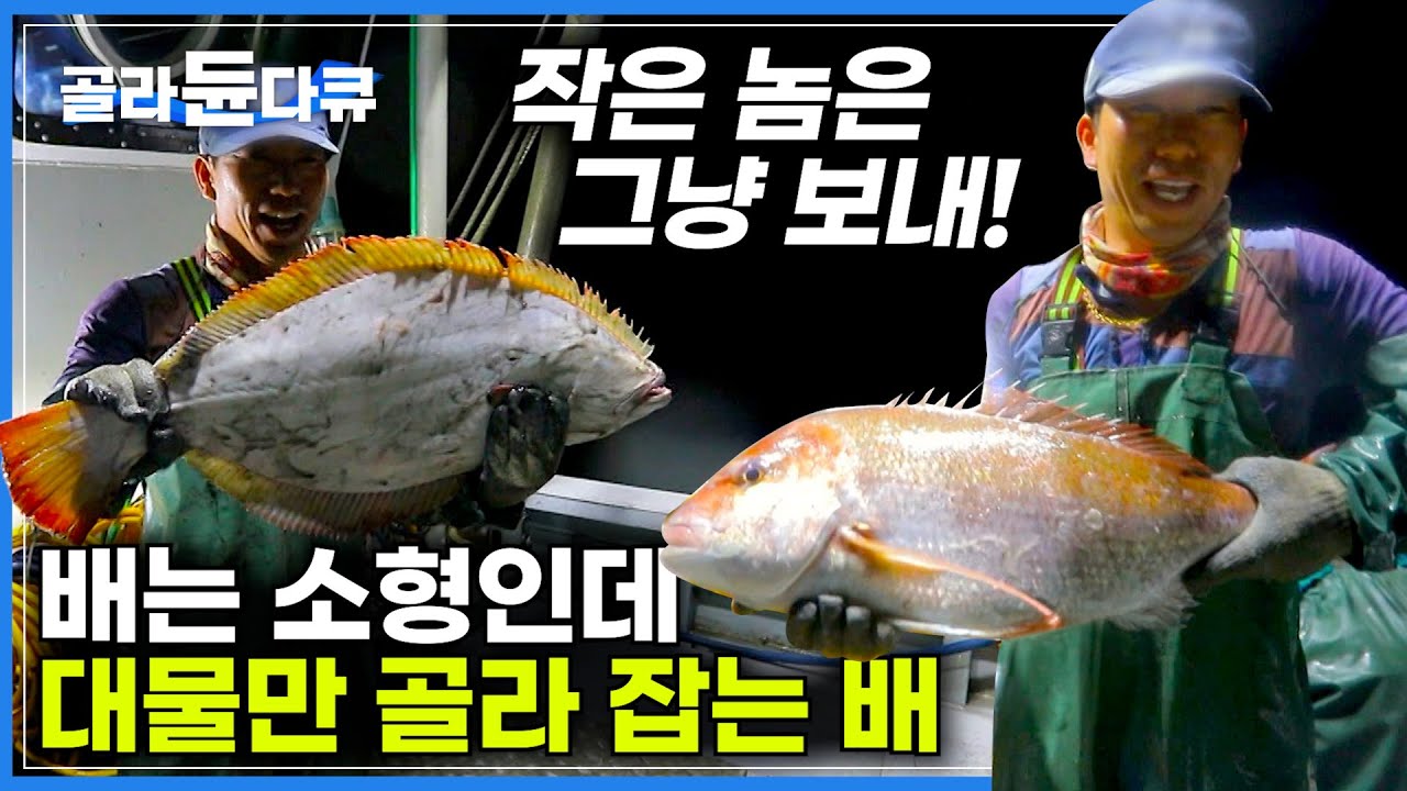 값 비싼 참돔 부터 자연산 대광어까지, 배는 작아도 돈 되는 큰 놈만 잡는 배｜작은 놈은 거들떠도 안 본다! 출항 한번에 돈 쓸어담는 20년차 선장님｜한국기행｜#골라듄다큐