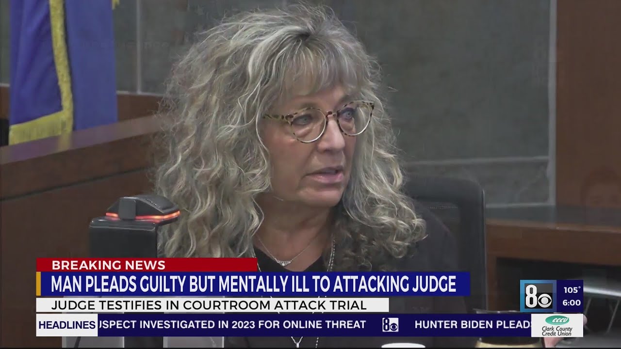 Man pleads guilty to attacking Las Vegas judge after she testifies: ‘I didn’t think I was going to g