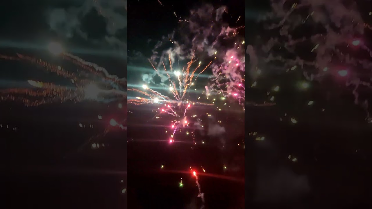 Alpha wolff x2 project